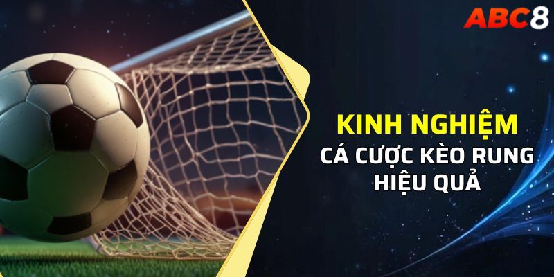 Kinh nghiệm bắt kèo rung hiệu quả nhất